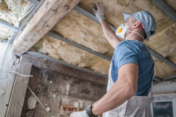 Best Insulation Maintenance and Repair in Uvalde Estates, TX