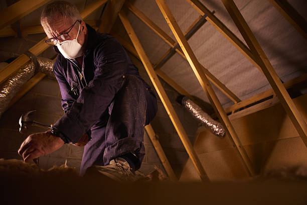 Best Eco-Friendly Insulation in Uvalde Estates, TX